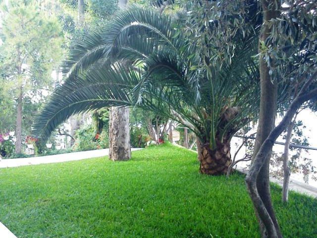 Tzeni Villa Lygia  Exteriér fotografie